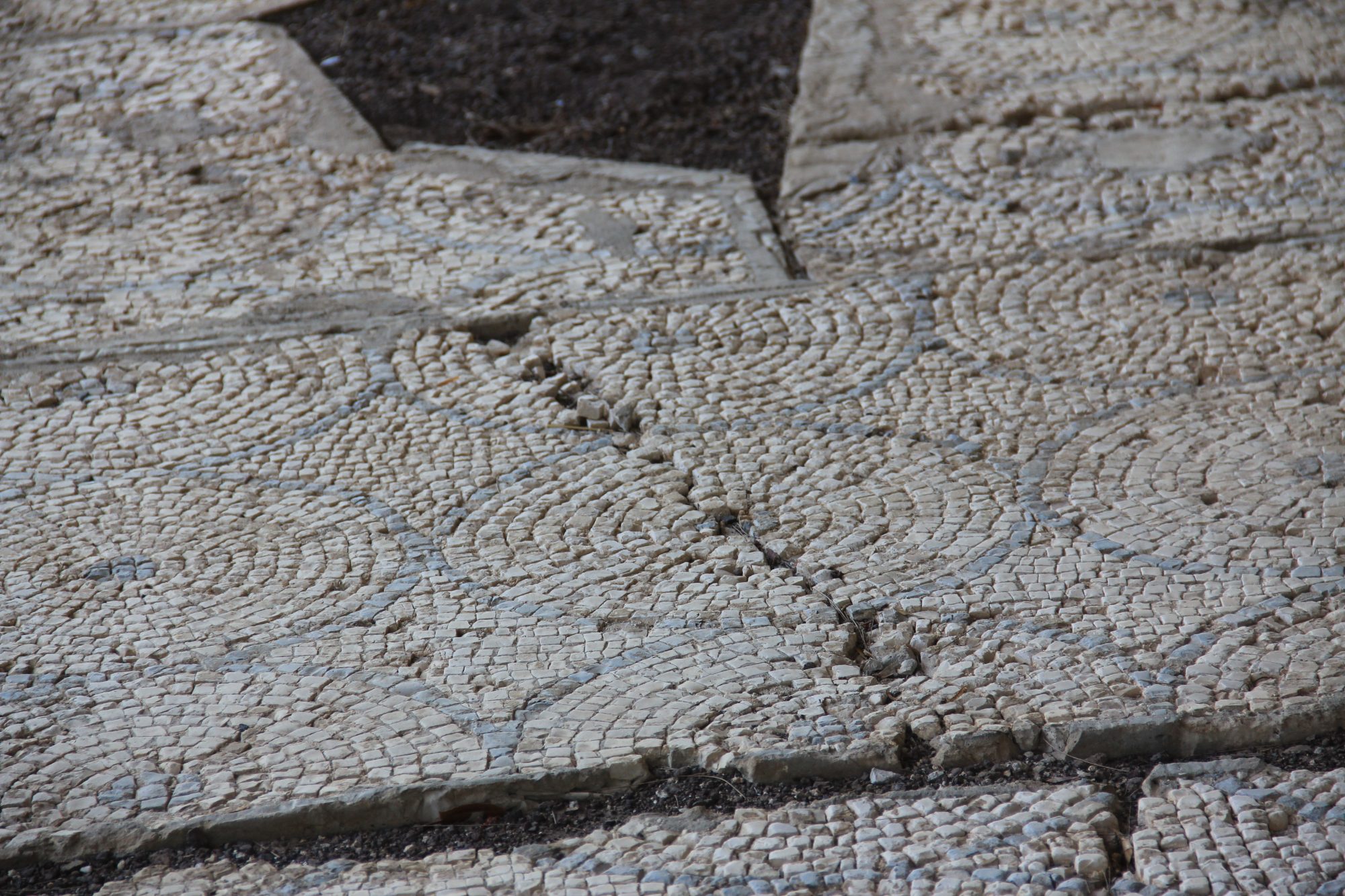 Capharnaum 49